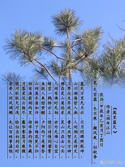 乌青对白云的赞美?诗人乌青的代表作天上的白云真白啊