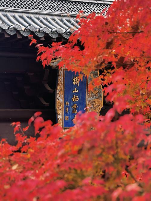 栖霞山几月份去合适?栖霞山1月份