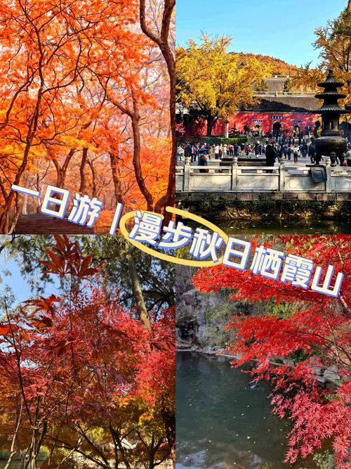 栖霞山几月份去合适?栖霞山1月份