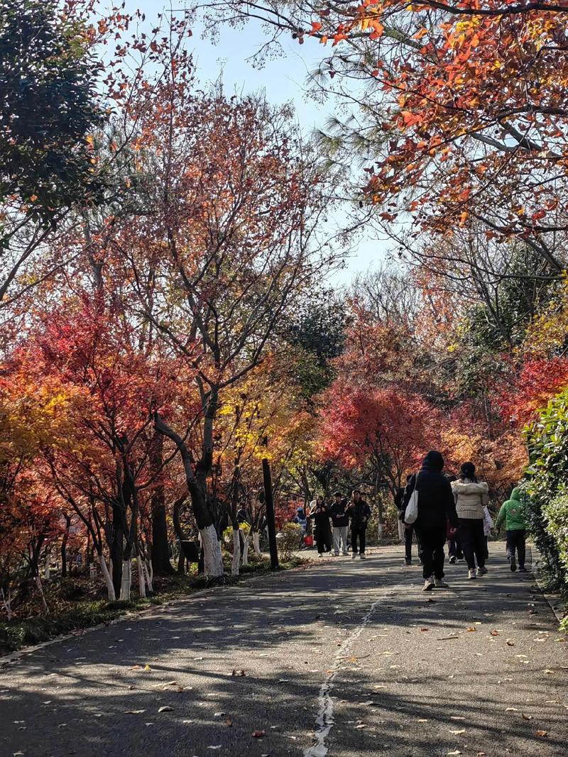 栖霞山几月份去合适?栖霞山1月份
