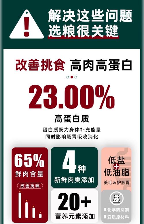 金毛除了吃狗粮还可以吃什么东西?金毛只吃狗粮营养够吗