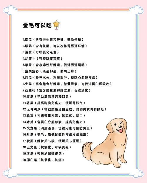 金毛除了吃狗粮还可以吃什么东西?金毛只吃狗粮营养够吗
