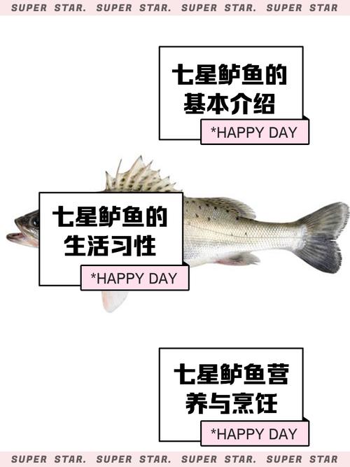 七星鱼的养殖和管理?七星鱼的养殖和管理方法