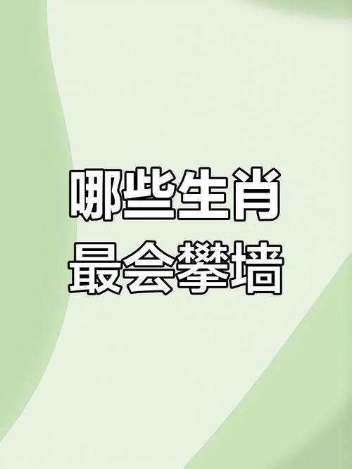 攀的意思是什么生肖?攀的含义是什么生肖