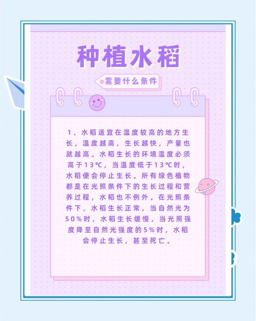 怎样提高水稻品质?如何提高水稻品质