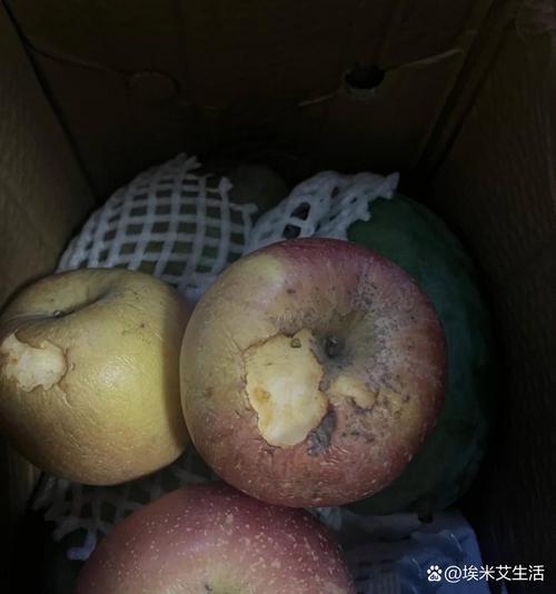 苹果坏了还能吃吗为什么?苹果坏了一点就不能吃了吗