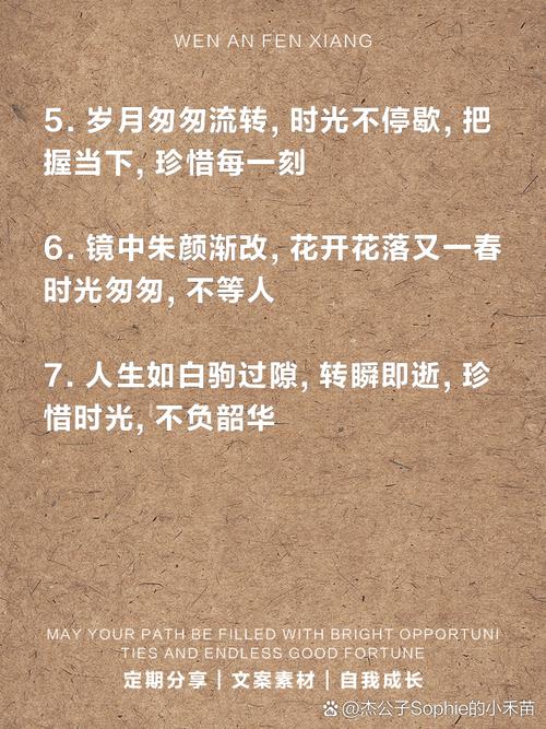 关于时间飞逝的最美句子摘抄?关于时间飞逝的感慨
