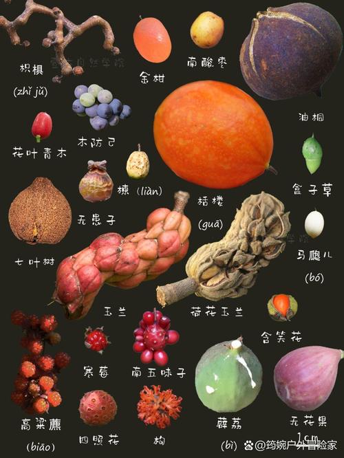 秋天里什么水果颜色最多?秋天水果有哪些颜色