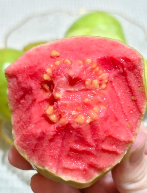 番石榴什么时候吃好吃？番石榴什么时候吃好吃一点