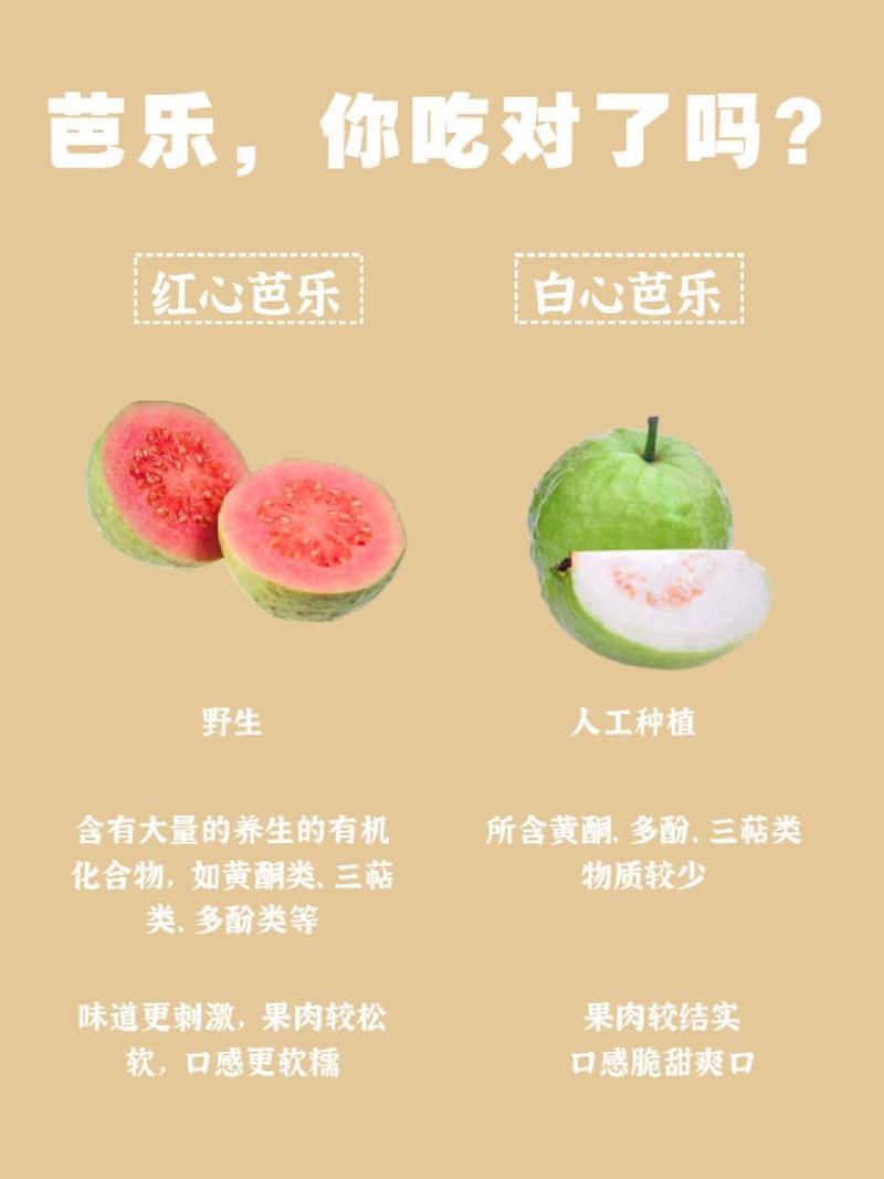 番石榴什么时候吃好吃?番石榴什么时候吃好吃一点