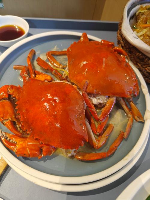 螃蟹可以直接上锅蒸吗？蒸螃蟹可以直接放水里蒸吗