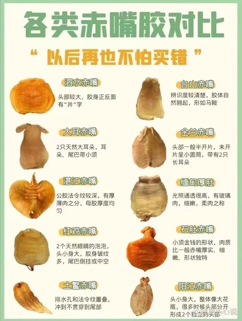 如何去除鱼胶的鱼腥味?鱼胶怎么去除鱼腥味