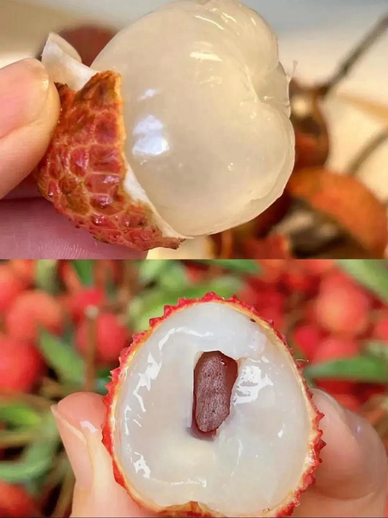 荔枝酸的还是甜的？荔枝酸甜是不是坏了