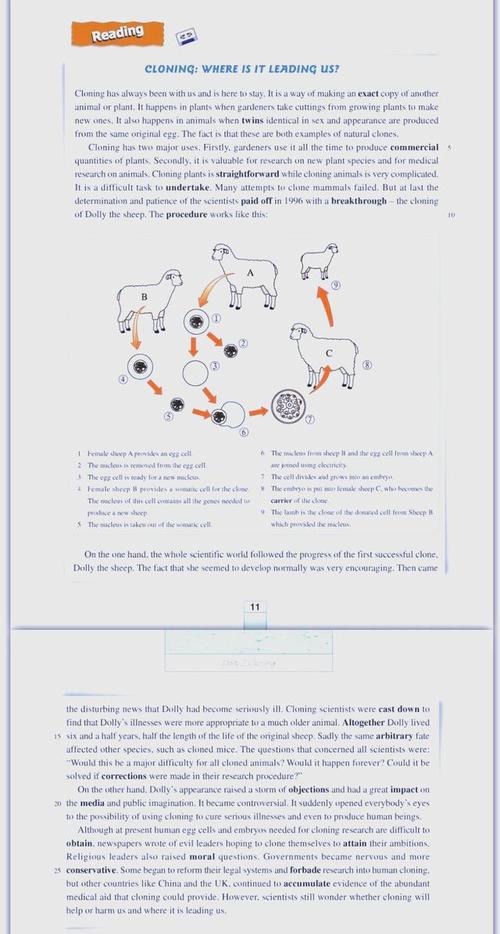 克隆技术应用在哪些方面??克隆技术的四个应用前景