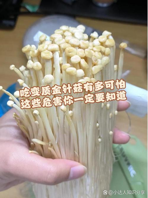 金针菇变质了还能吃吗?金针菇变质了吃了会中毒吗
