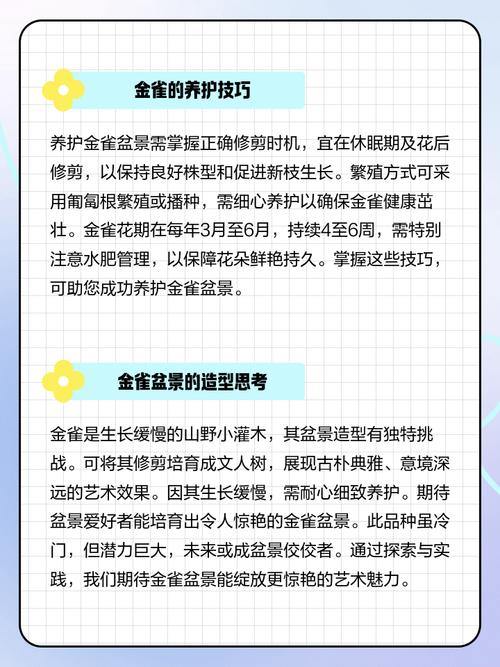 金雀盆景耐寒多少度？金雀盆景过冬