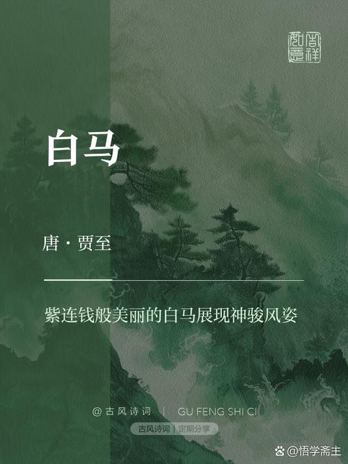 白马西风塞上是什么意思啊?白马西风塞上怎么读