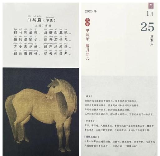 白马西风塞上是什么意思啊?白马西风塞上怎么读