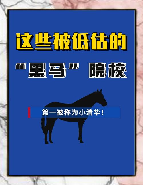 高等教育学考研冷门吗?高等教育学考研冷门吗知乎