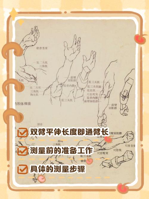 两臂伸开的长度是多少？双臂伸开有多长