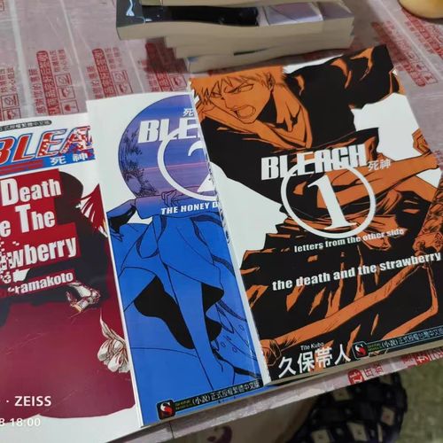 死神bleach小说？死神bleach章节