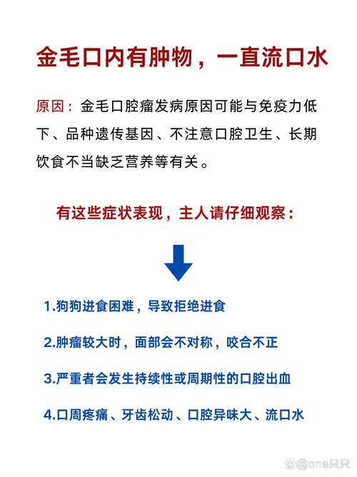 金毛犬为什么流口水?金毛狗老是流口水是什么原因