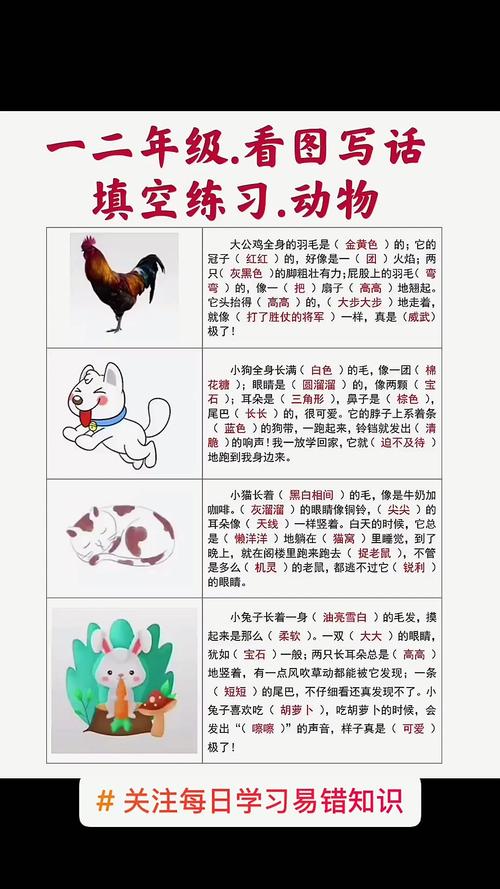 金什么报晓填动物名称？金什么报晓填空