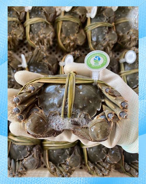 附近大闸蟹农贸批发市场?附近买大闸蟹