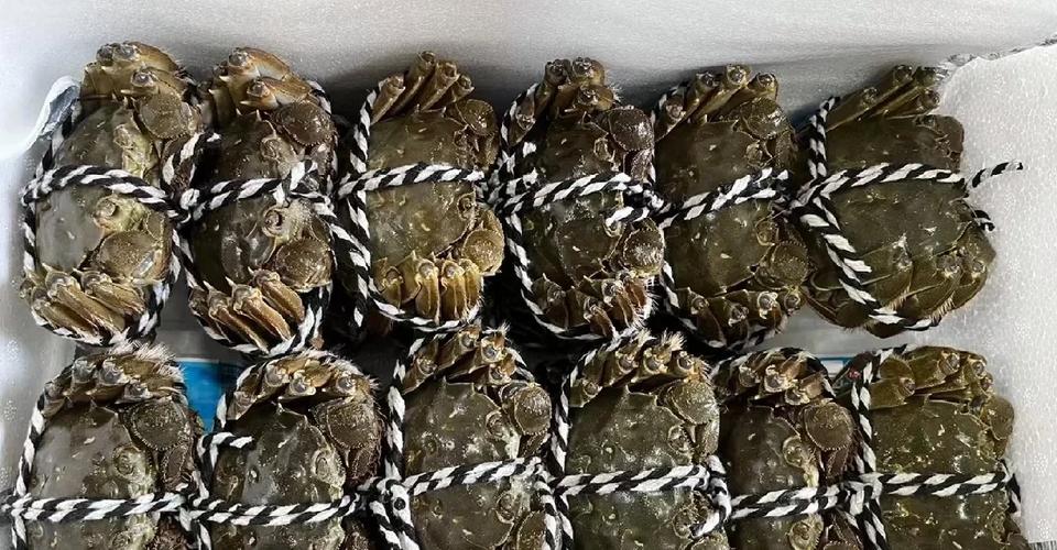 附近大闸蟹农贸批发市场?附近买大闸蟹