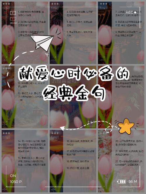 关于爱心与奉献的句子？爱心与奉献的名人名言