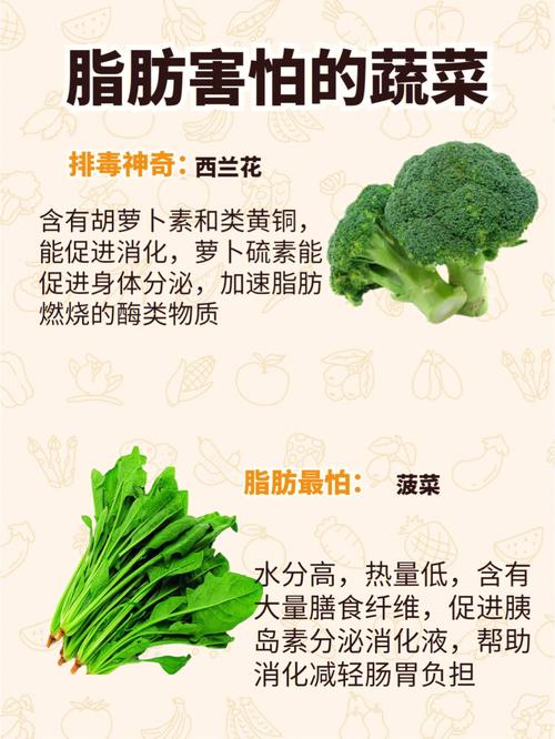 燃烧脂肪的蔬菜水果?什么食材燃烧脂肪
