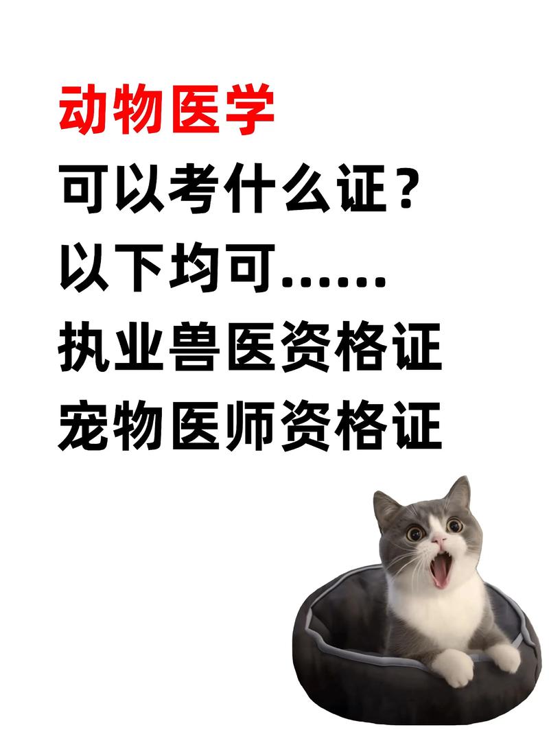 请问开宠物店还要兽医证吗?开宠物店需要打疫苗吗