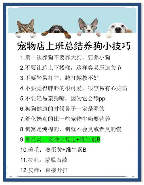 如何和幼狗培养感情？如何和幼犬快速建立