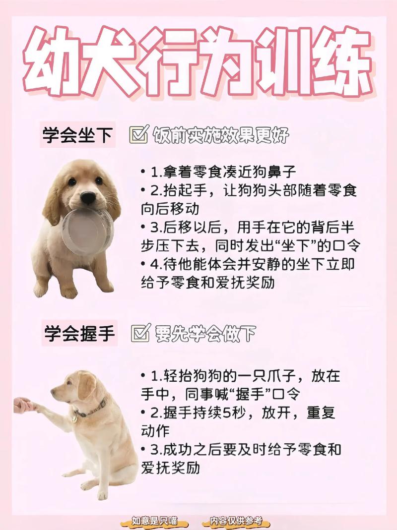 如何和幼狗培养感情?如何和幼犬快速建立