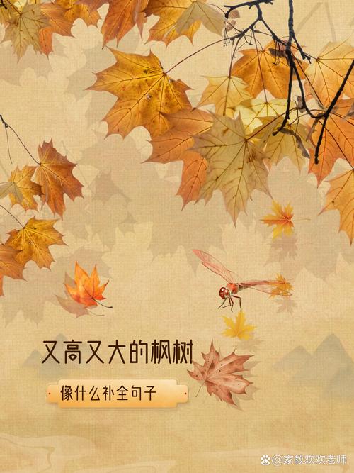 秋天的枫叶远远望去像什么?秋天的枫叶远远望去像什么比喻句