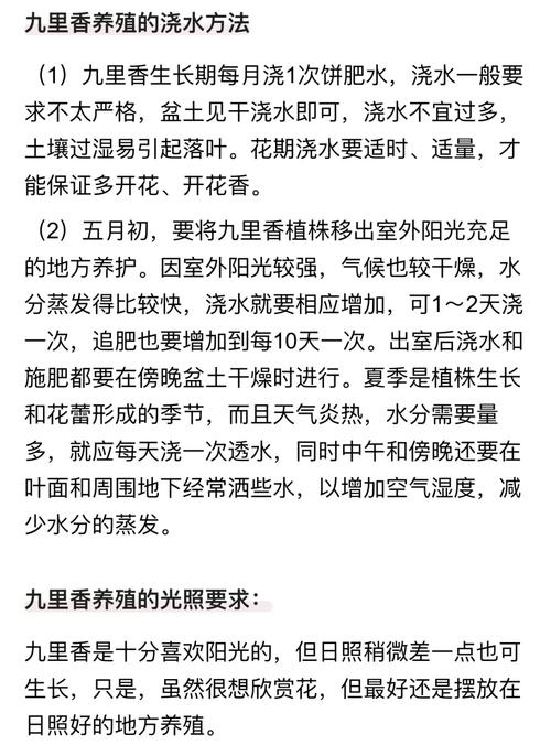 九里香养殖方法及注意事项?九里香的养殖方法和价格
