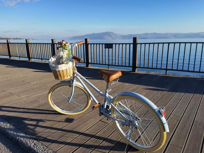 请问在大理哪里有卖自行车的?大理有自行车出租吗