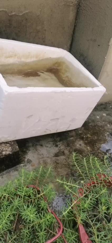 空调水能浇花浇菜吗?空调水能浇花不