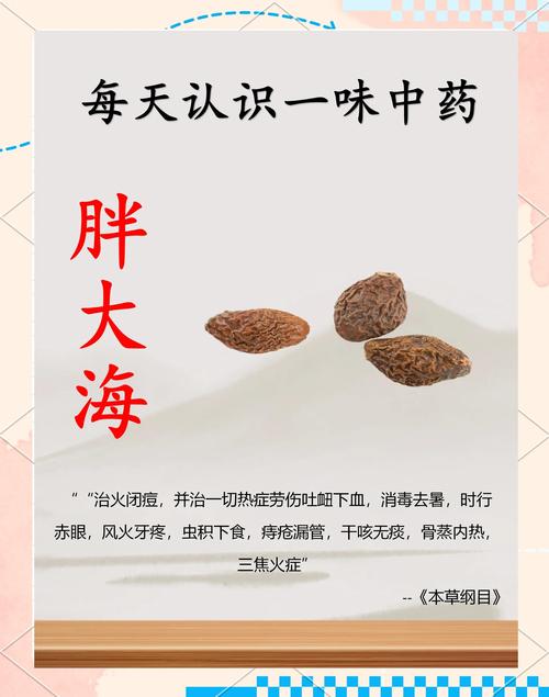 胖大海产自哪里?？胖大海产自哪里