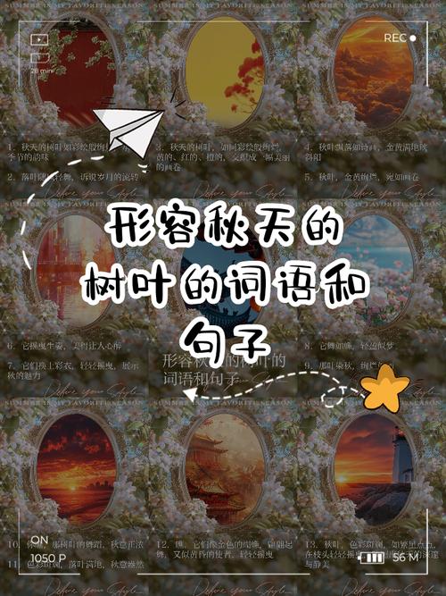 秋天的叶子怎么用词语来概括？秋天的叶子怎样形容