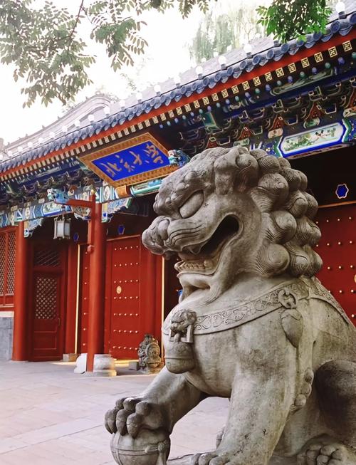 如何描写北京大学?北京大学校园景色描写