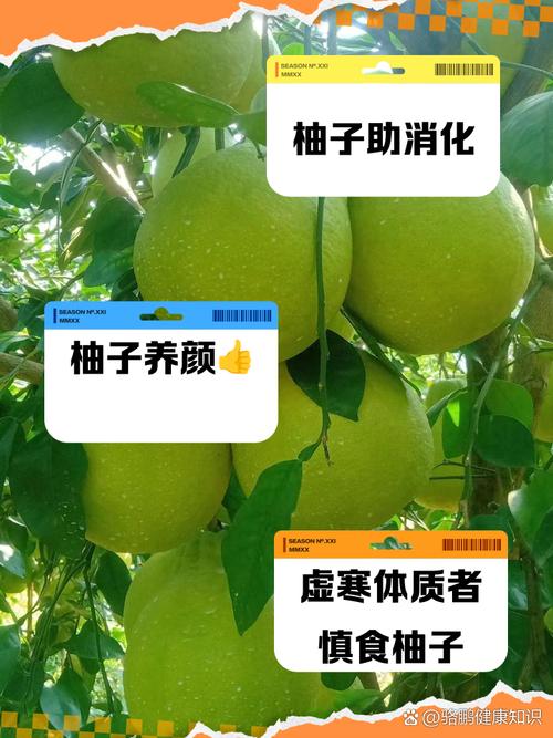 柚子吃多了对肠胃有影响吗?柚子吃多了容易消化吗