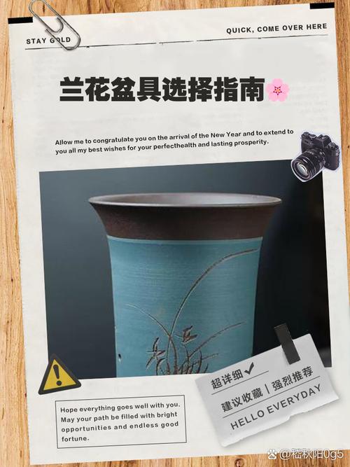 兰花盆选合适尺寸？兰花盆高度的选择