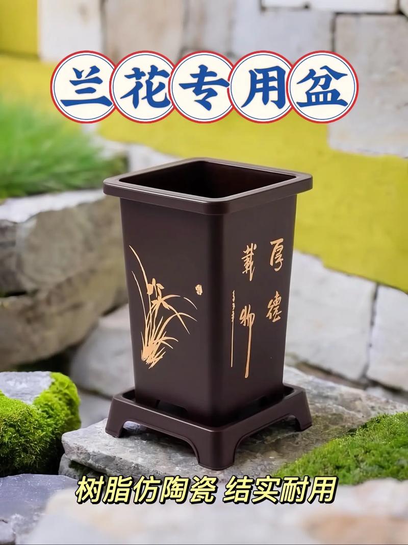 兰花盆选合适尺寸?兰花盆高度的选择