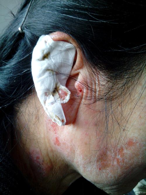 请专家给我解答一下?请专家指教