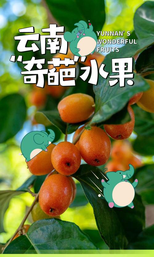 昆明什么水果最出名?昆明出名的水果
