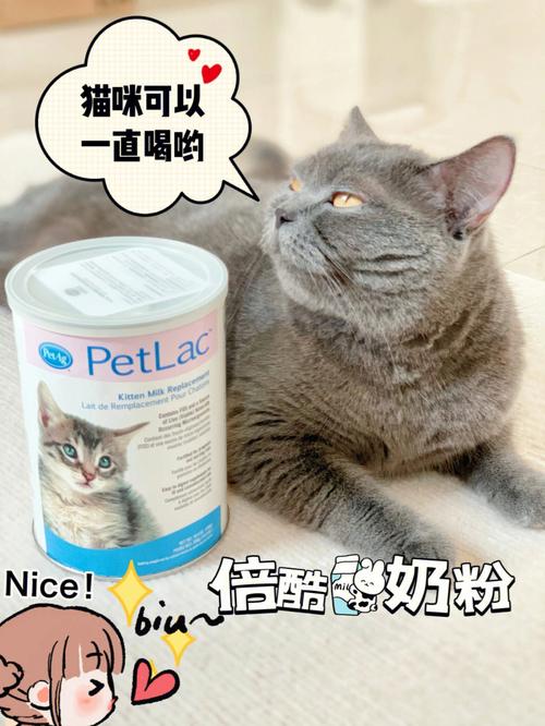 猫能不能喝ad钙?小猫咪可以喝ad钙吗