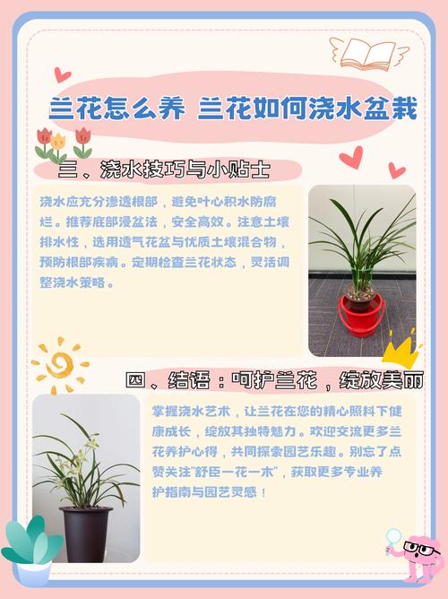 兰花需要经常浇水吗为什么？兰花需要浇水嘛