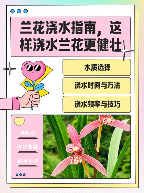 兰花需要经常浇水吗为什么?兰花需要浇水嘛