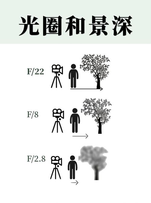 光圈与景深关系是正比还是反比?光圈和景深关系图解